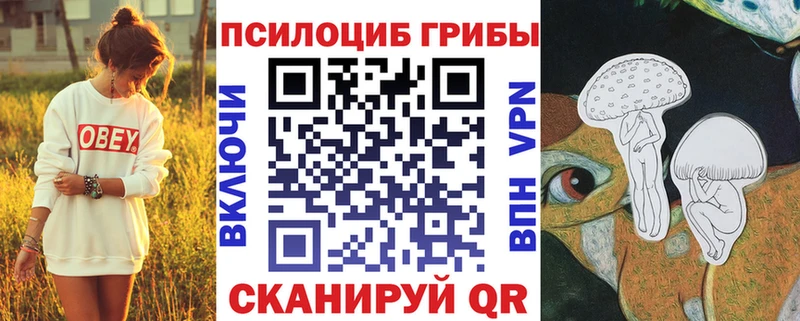 Псилоцибиновые грибы прущие грибы  Нахабино 